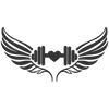 Sculpted Wings - Home
