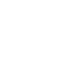 Sculpted Wings - Home